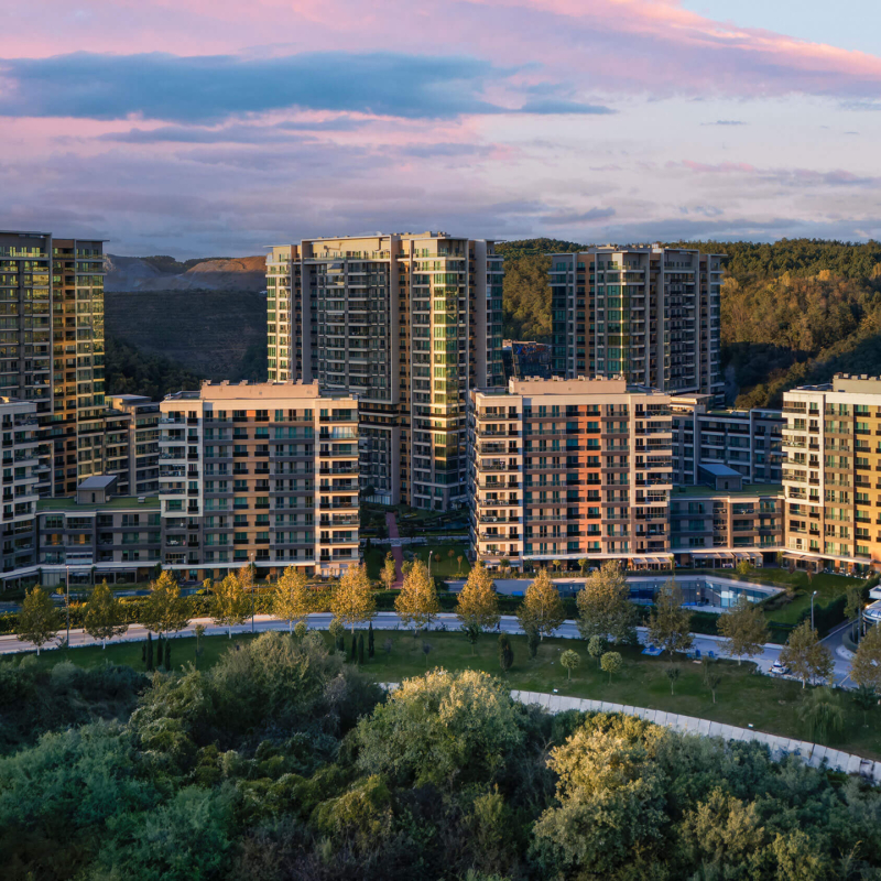 Vadistanbul 7 Vadistanbul